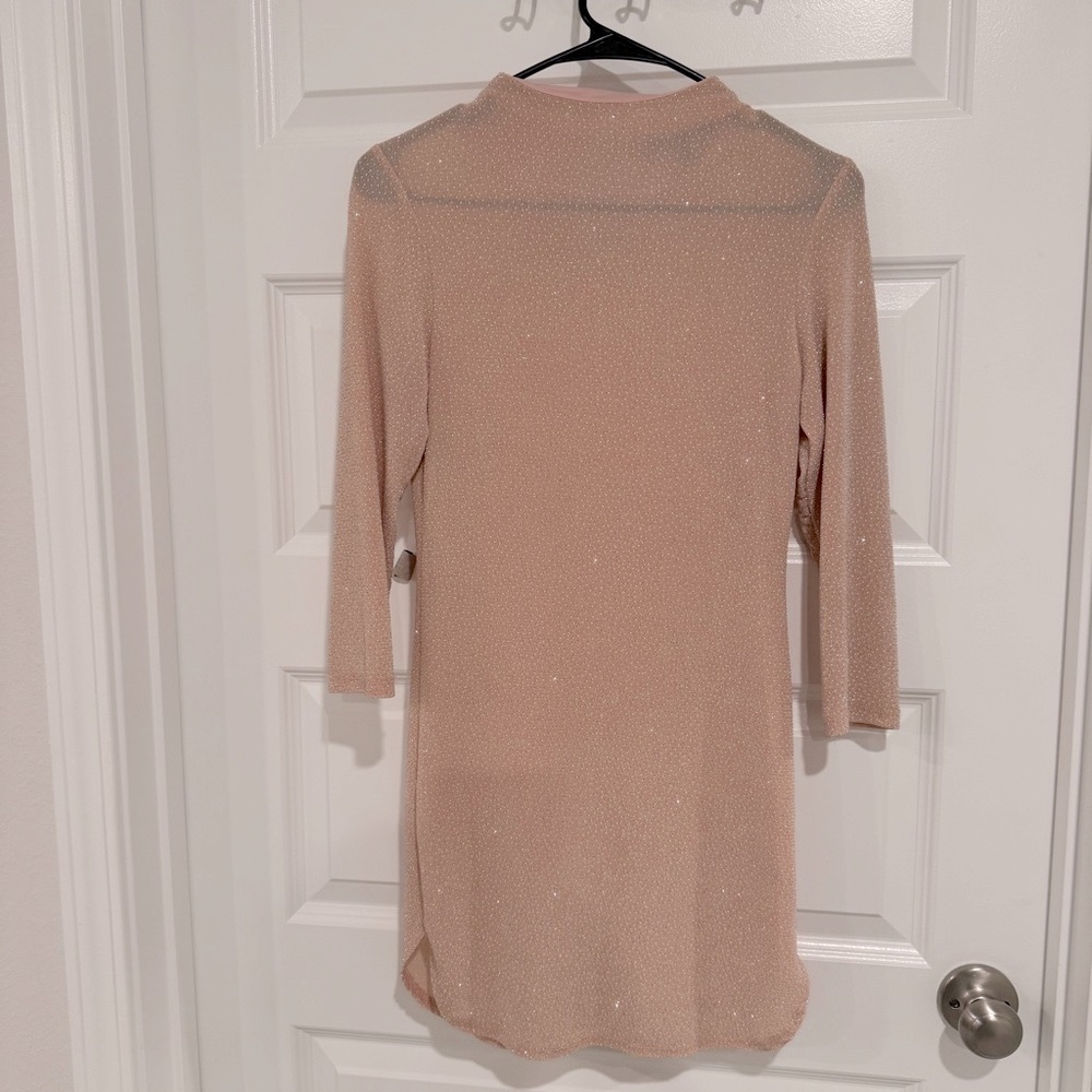 Blush Pink Sheer Mini Dress with Sparkling Detail